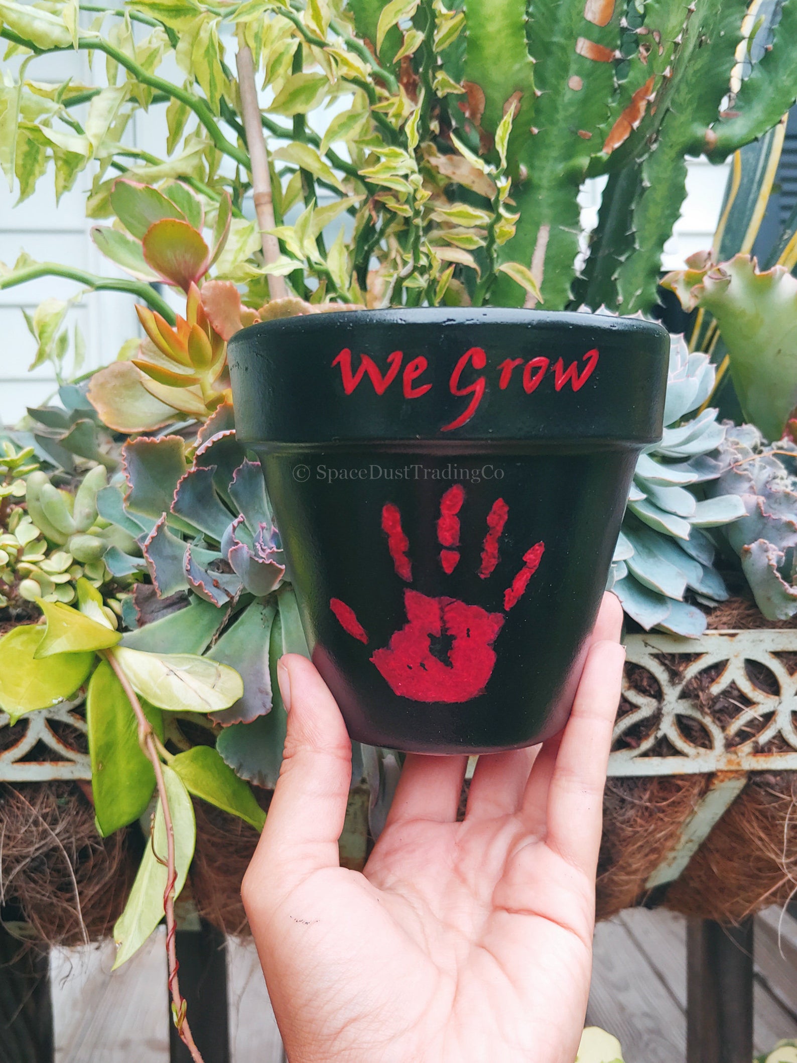 We Grow Planter  4in Terra Cotta Planter