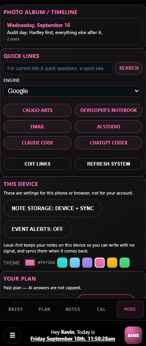 Settings showing the theme picker set to pink